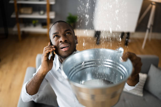 Best Water damage contractors near me  in University Of Virginia, VA