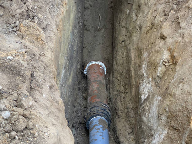 Best Flood damage cleanup  in University Of Virginia, VA