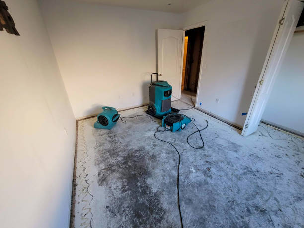 Best Flood damage cleanup  in University Of Virginia, VA