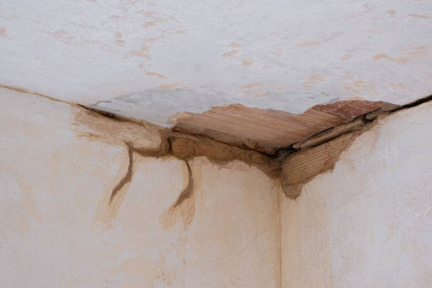 Best Basement water damage restoration  in University Of Virginia, VA