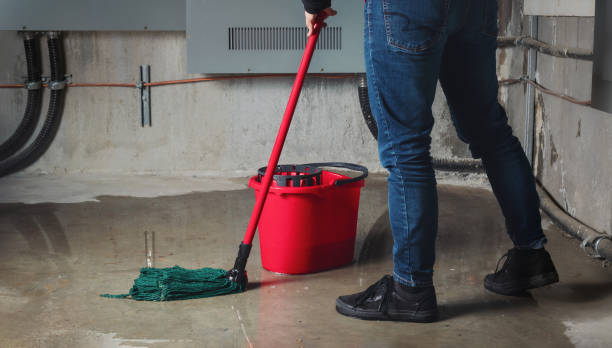 Reliable VA Water damage restoration Solutions
