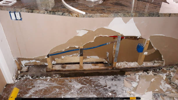 Best Flooded house restoration  in University Of Virginia, VA