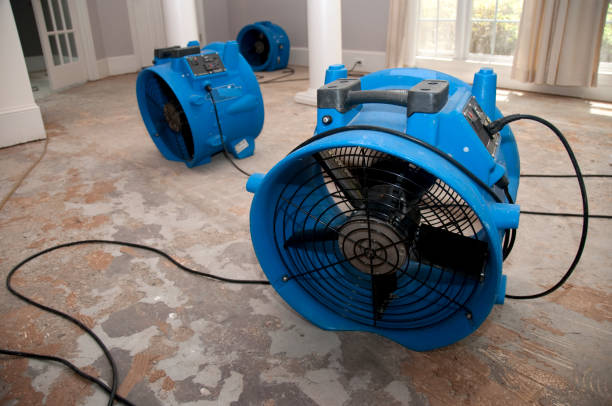 Best Professional water damage repair  in University Of Virginia, VA