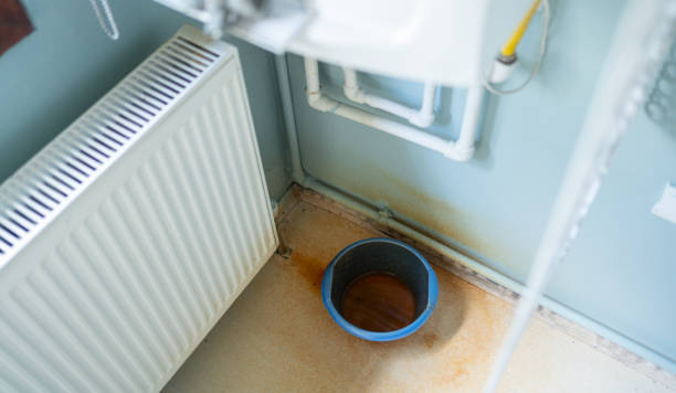 Best Water damage mitigation services  in University Of Virginia, VA