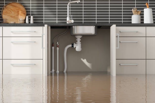Best Water damage restoration near me  in University Of Virginia, VA